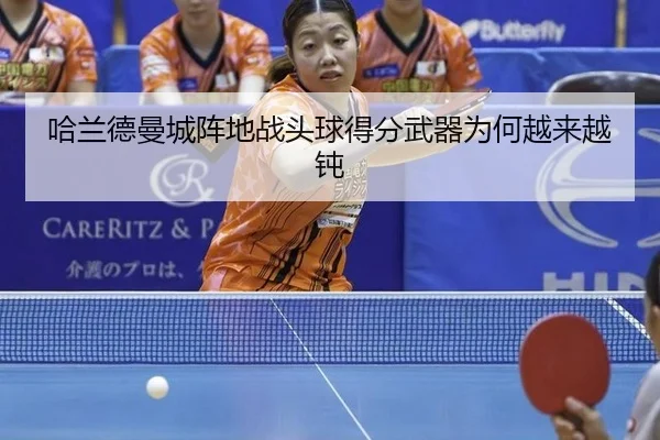 ha-lan-de-man-cheng-zhen-di-zhan-tou-qiu-de-fen-wu-qi-wei-he-yue-lai-yue-dun-2-383.jpg