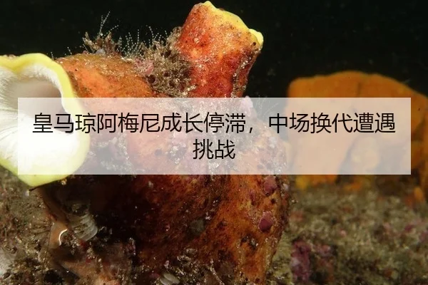 huang-ma-qiong-a-mei-ni-cheng-zhang-ting-zhi-zhong-chang-huan-dai-zao-yu-tiao-zhan-2-124.jpg